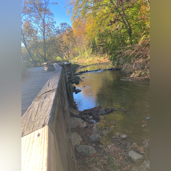 Hi, I’m Tammy, I’ve been Poshing for about 5 years now! 🤓🤗🙏 - Picture 9 of 12